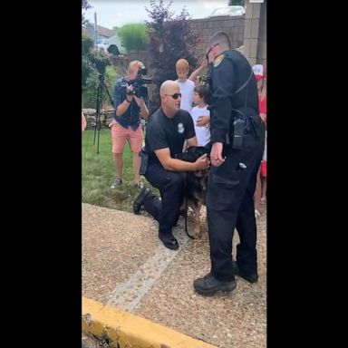 Law enforcement officers bid a Missouri State Highway Patrol K-9 officer an emotional farewell after he was diagnosed with terminal cancer.