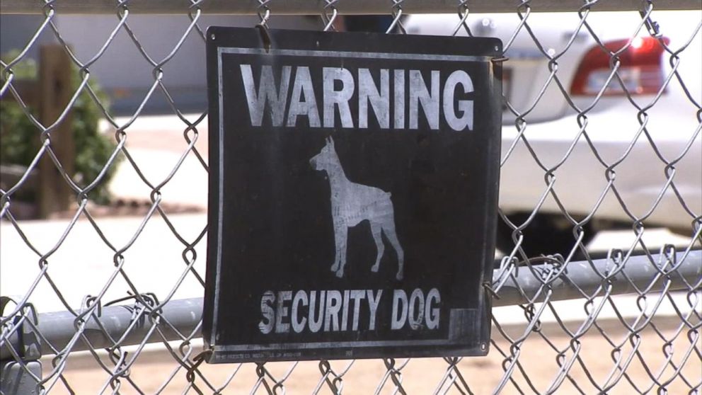 California Deputies Shoot, Kill Family Dog After Responding to Wrong ...