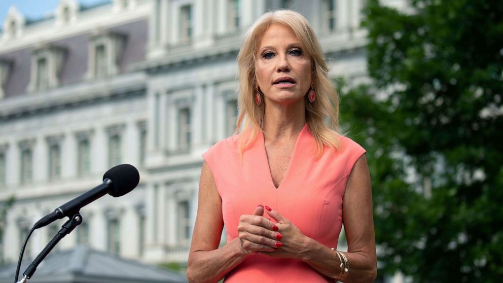 PHOTO: Senior Counselor Kellyanne Conway speaks to members of the media outside the White House in Washington D.C., July 17, 2020.