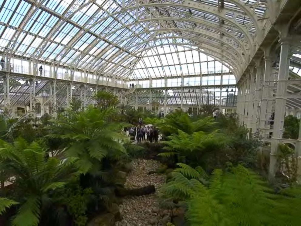 How the Royal Botanic Gardens, Kew is creating natural beauty products ...