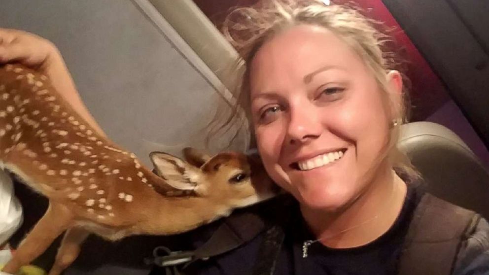 PHOTO: The Monroe County Fire Rescue firefighter Jen Shockley Brack rescued a young spotted fawn while responding to the Big Pine Key brush fire in the Florida Keys.