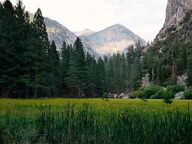Authorities searching for hiker missing in Kings Canyon National Park