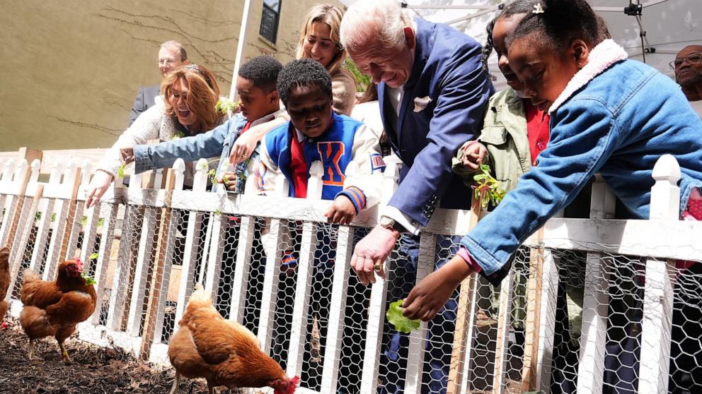 PHOTO: Britain's King Charles III helps feed chickens during a visit to Harlem Grown, a local community organization and after-school initiative, in New York City, April 29, 2026. 