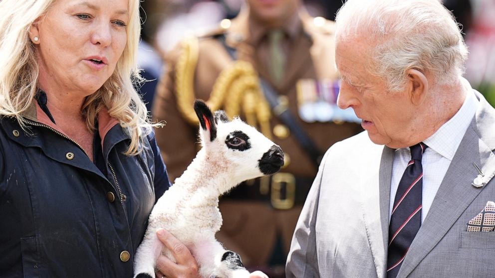 PHOTO: A Kerry Hill Welsh lamb, which was just born, is shown to King Charles III during a parade and block party in Front Royal, Virginia, April 30, 2026.