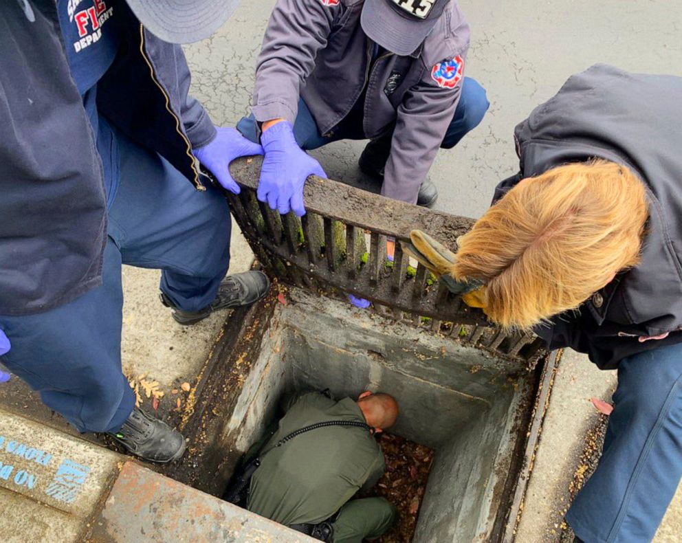 PHOTO: This photo provided by the Santa Clara County Sheriff's Office shows a deputy and firefighters working to rescue a 6-week-old kitten from a storm drain in Cupertino, Calif., Tuesday, May 21, 2019.