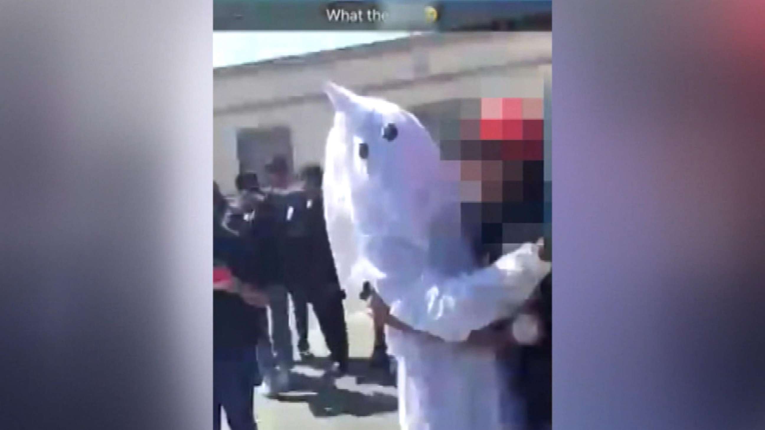 PHOTO: Video shared on social media shows someone dressed head to toe as a KKK member.