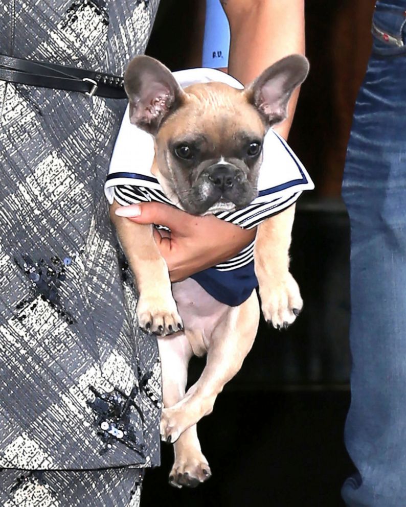 PHOTO: Lady Gaga is seen with her dog Koji, May 12, 2015, in New York City.