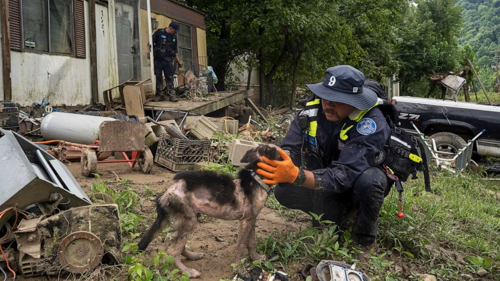 PHOTO: A firefighter from the Lexington Fire Department Search and Rescue team checks on a dog during a targeted search on Highway 476 where three people are still unaccounted for, July 31, 2022, near Jackson, Ky.