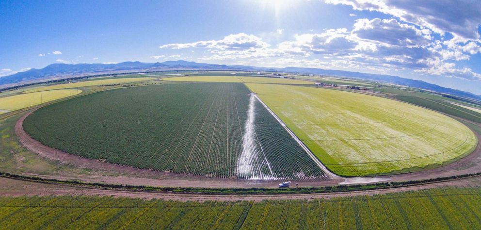 PHOTO: Kyler Brown, a farmer-rancher in the San Luis Valley, says his farm consists of about 450 irrigated acres, where he grows potatoes and barley.