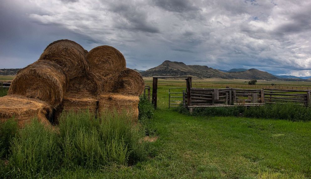 PHOTO: Kyler Brown's farm, where he grows potatoes, barley and some cattle, is in the San Luis Valley of Colorado.