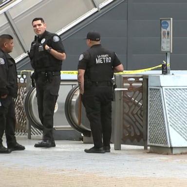 A woman was fatally stabbed on a Metro train in Los Angeles early Monday, police said.