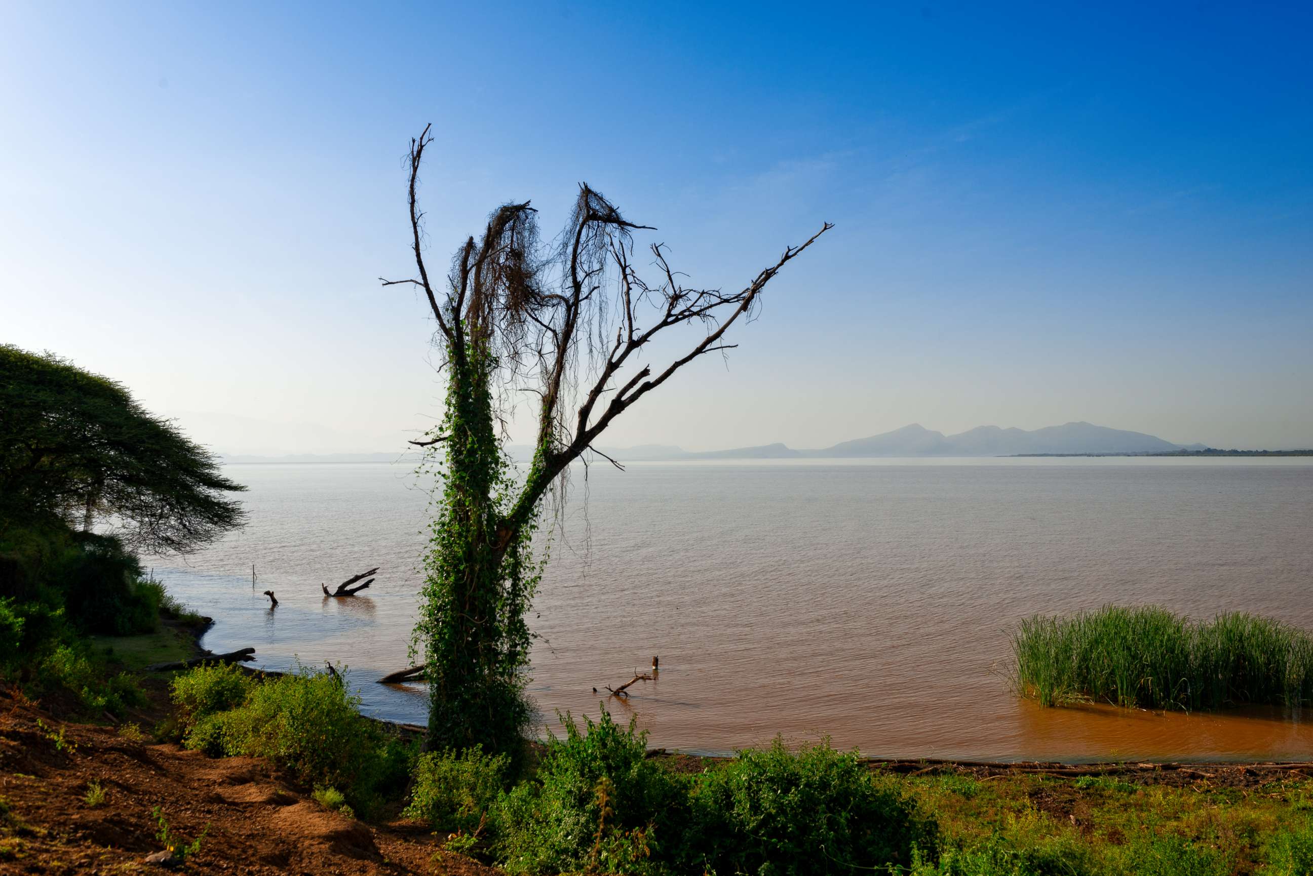 PHOTO: Lake Abaya, Arba Minch, Ethiopia on Dec. 16, 2017.