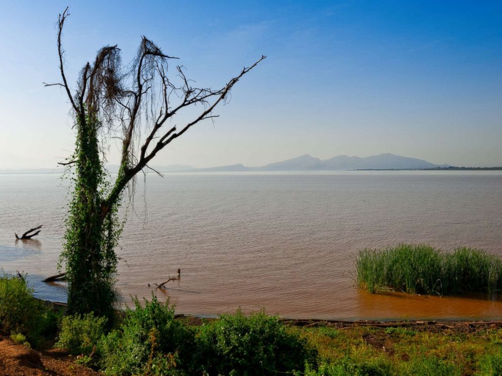 lake-abaya-arba-minch-gty-mt-180607_hpMain_4x3_992 lake-abaya-arba-minch-gty-mt-180607_hpMain_4x3_992 PHOTO: Lake Abaya, Arba Minch, Ethiopia on Dec. 16, 2017. These are the animal attacks that happened this week lake abaya arba minch gty mt 180607 hpMain 4x3 992