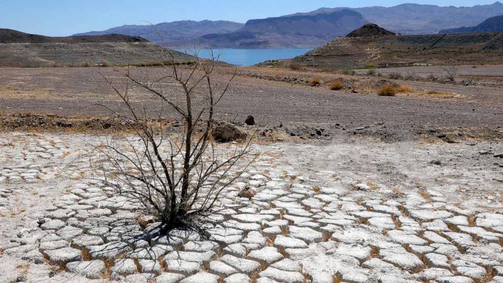 PHOTO: Lake Mead is seen in the distance behind a dead creosote bush in an area of dry, cracked earth that used to be underwater near where the Lake Mead Marina was once located, June 12, 2021, in the Lake Mead National Recreation Area, Nevada.