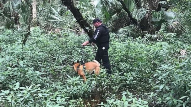 Search resumes of 'vast' preserve for boyfriend of missing 22-year-old