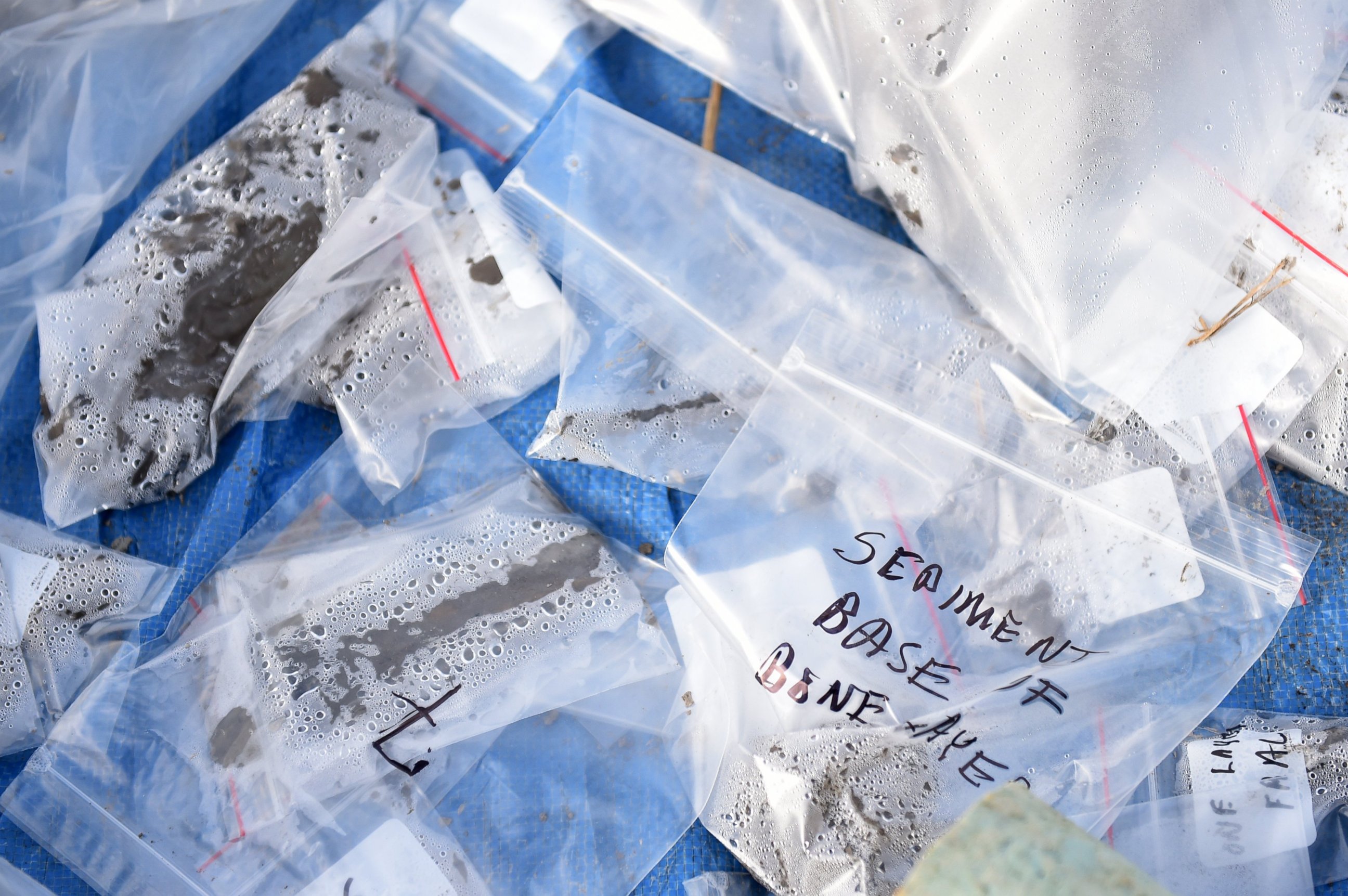 PHOTO: Material recovered during a woolly mammoth excavation sits in baggies on a farm in Lima Township, Mich., Oct. 1, 2015.