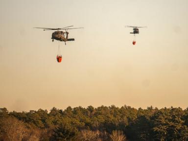 Suspected cause of Long Island wildfires was a resident making s'mores: Police