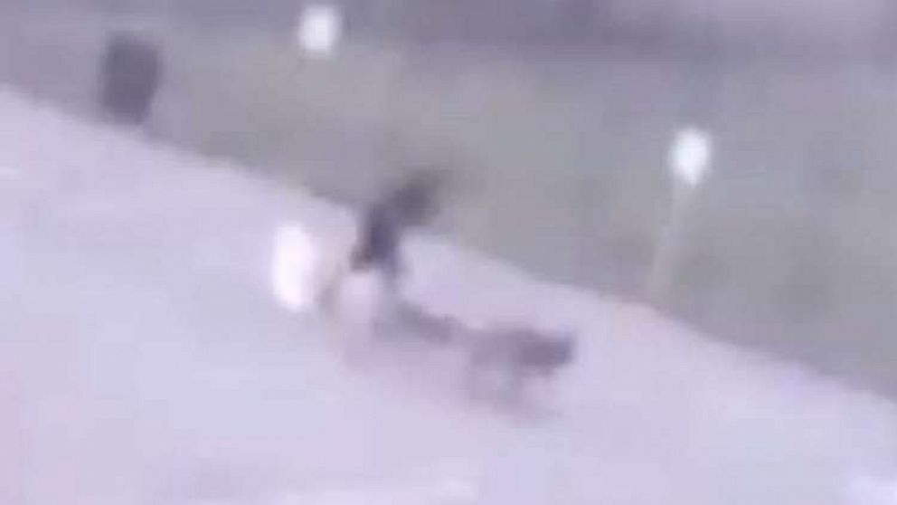 PHOTO: Surveillance video obtained by Houston ABC station KTRK shows the moment a man walking his dogs is struck by lightning in Spring, Texas, Sept. 3, 2019.