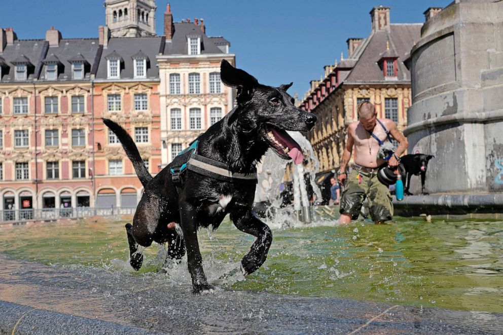 PHOTO: A dog plays in a fountain in Lille, northern France, as Europe is under an unusually extreme heatwave, July 19, 2022. 