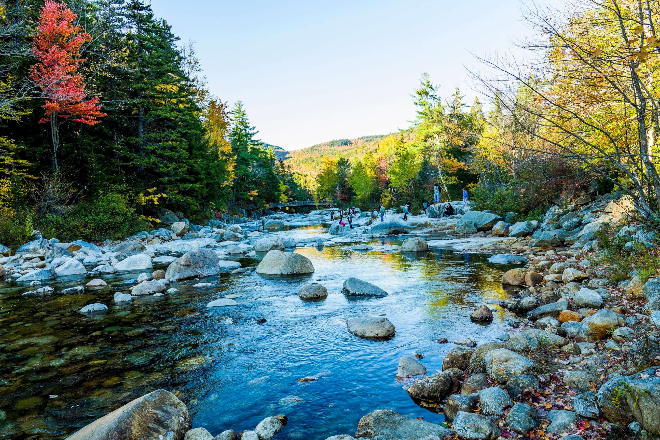 PHOTO: White Mountain National Forest in Lincoln, New Hampshire.