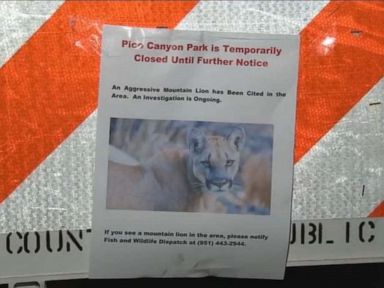 Mountain lion attacks 7-year-old boy from behind in park