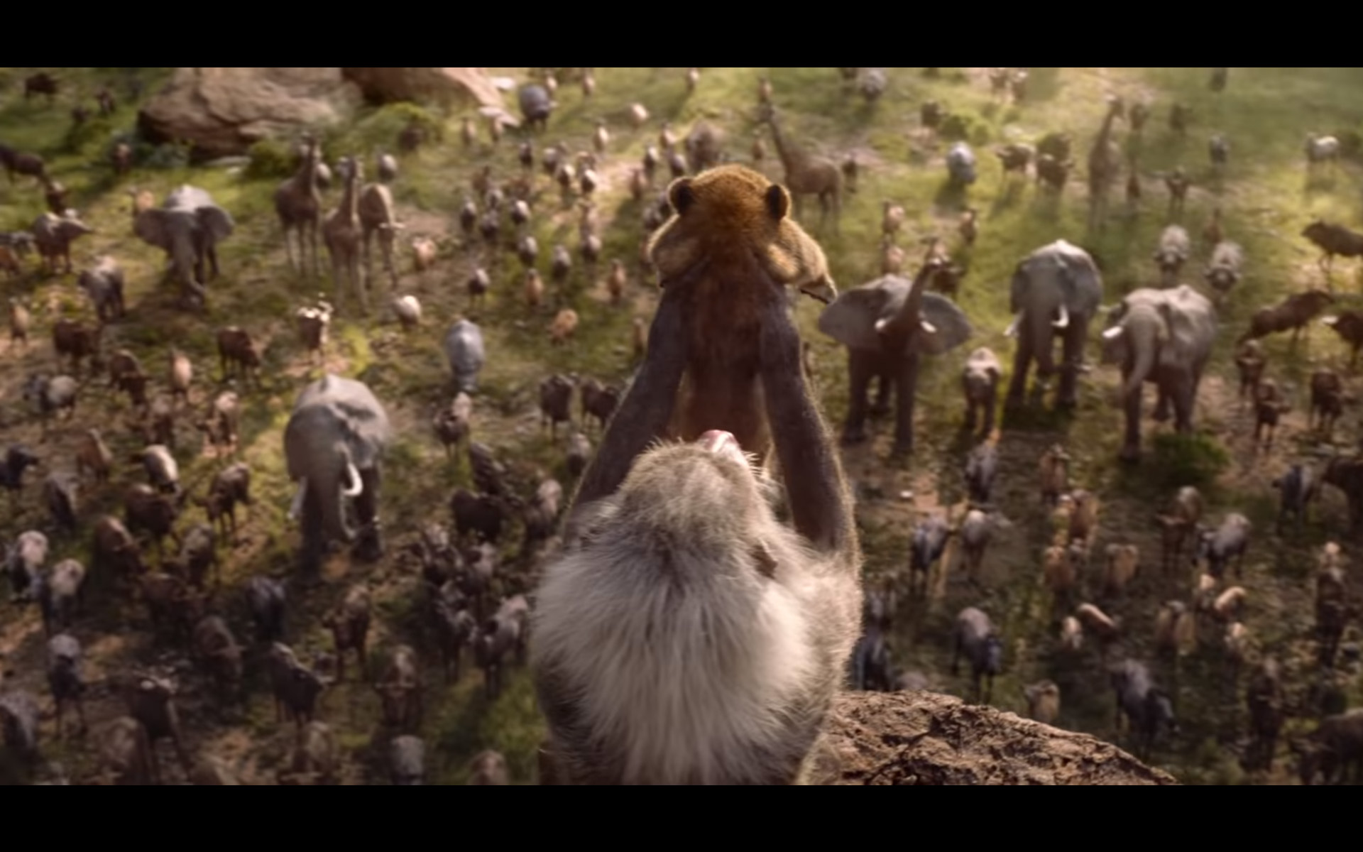 PHOTO: Disney released a teaser trailer for the 2019 remake of, "The Lion King."