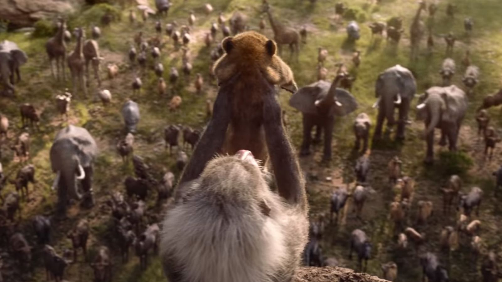 PHOTO: Disney released a teaser trailer for the 2019 remake of, "The Lion King."