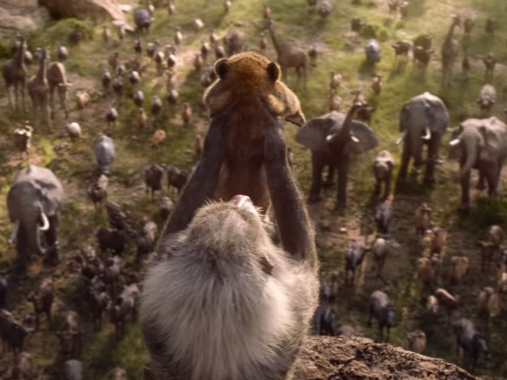 The Lion King Official Teaser Trailer Is Here Abc News