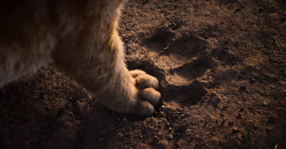 PHOTO: Disney released a teaser trailer for the 2019 remake of, "The Lion King."