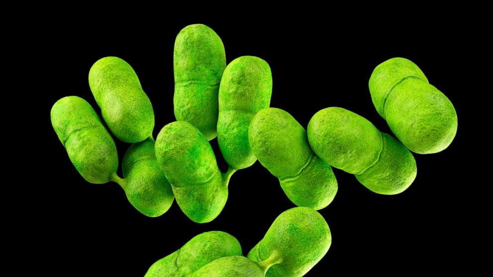 Shakes sold to nursing homes recalled after listeria outbreak linked to 11 deaths