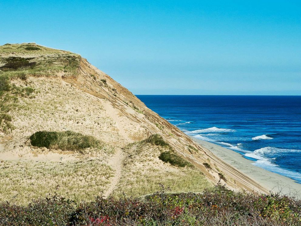 Swimmer bitten by shark off coast of Cape Cod, officials say - ABC News