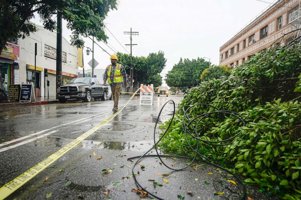 PHOTO: A worker walks past a fallen tree blocking Pico Boulevard, Aug. 20, 2023, in Los Angeles.