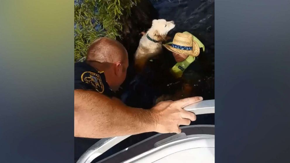 Stranded boater, dogs rescued by sheriff's deputies