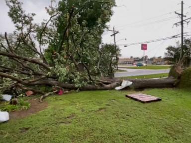Pregnant woman, unborn child killed by falling tree during severe weather