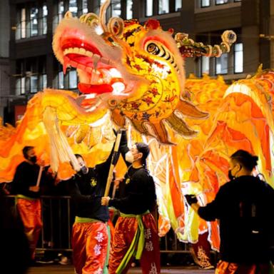 Lunar New Year, often referred to as Chinese New Year in the U.S., follows the lunisolar calendar and celebrates the beginning of spring. 