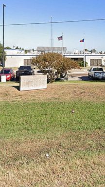 Texas authorities investigate mysterious cases of dead, mutilated cows -  ABC News