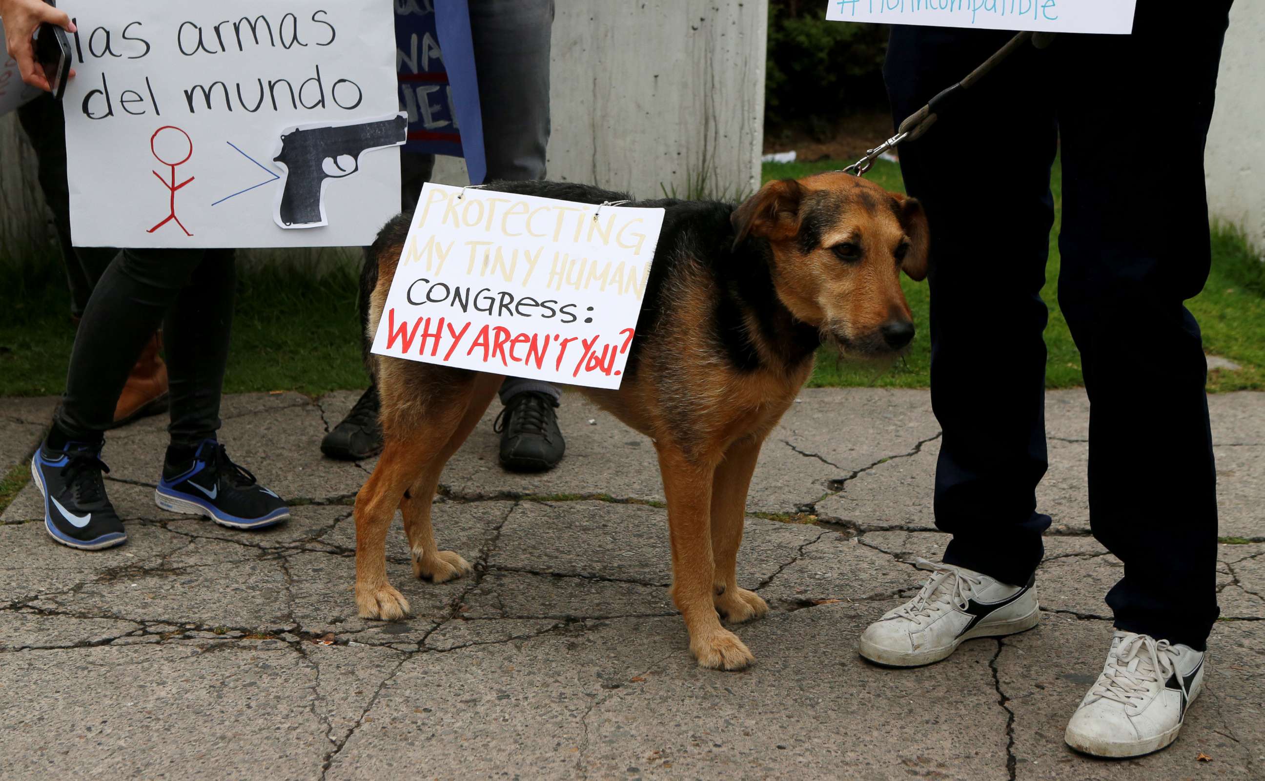 PHOTO: People with a dog participate in the March for Our Lives outside the U.S. embassy in Bogota, Colombia, March 24, 2018.