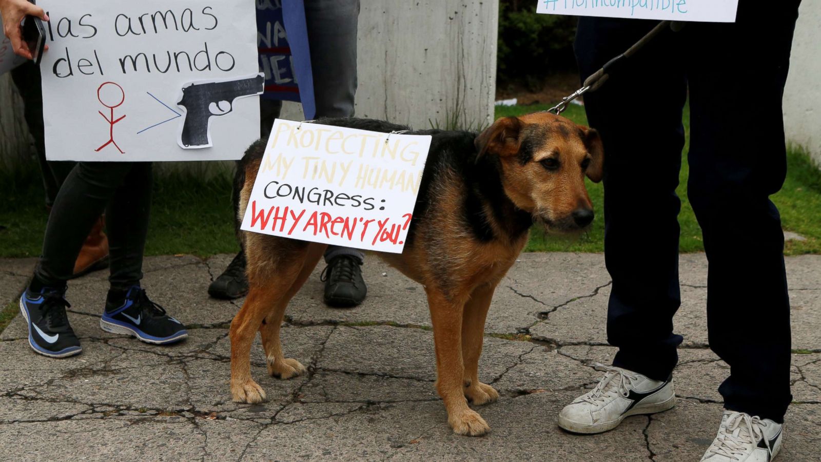 PHOTO: People with a dog participate in the March for Our Lives outside the U.S. embassy in Bogota, Colombia, March 24, 2018.