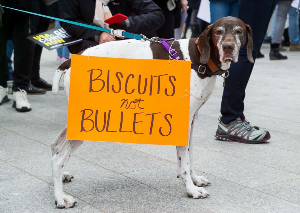 PHOTO: A dog is pictured with a sign at the March for Our Lives rally in London, March 24, 2018.