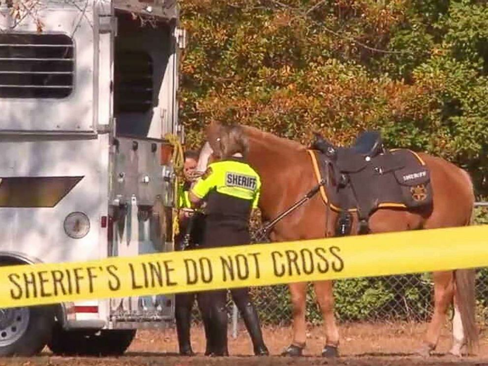 Remains Of Missing North Carolina Girl Found Authorities Abc News