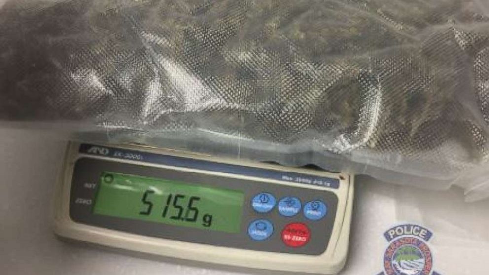 The Sarasota Police Department is investigating after almost 5 pounds of marijuana was found in a duffel bag donated to a thrift shop.