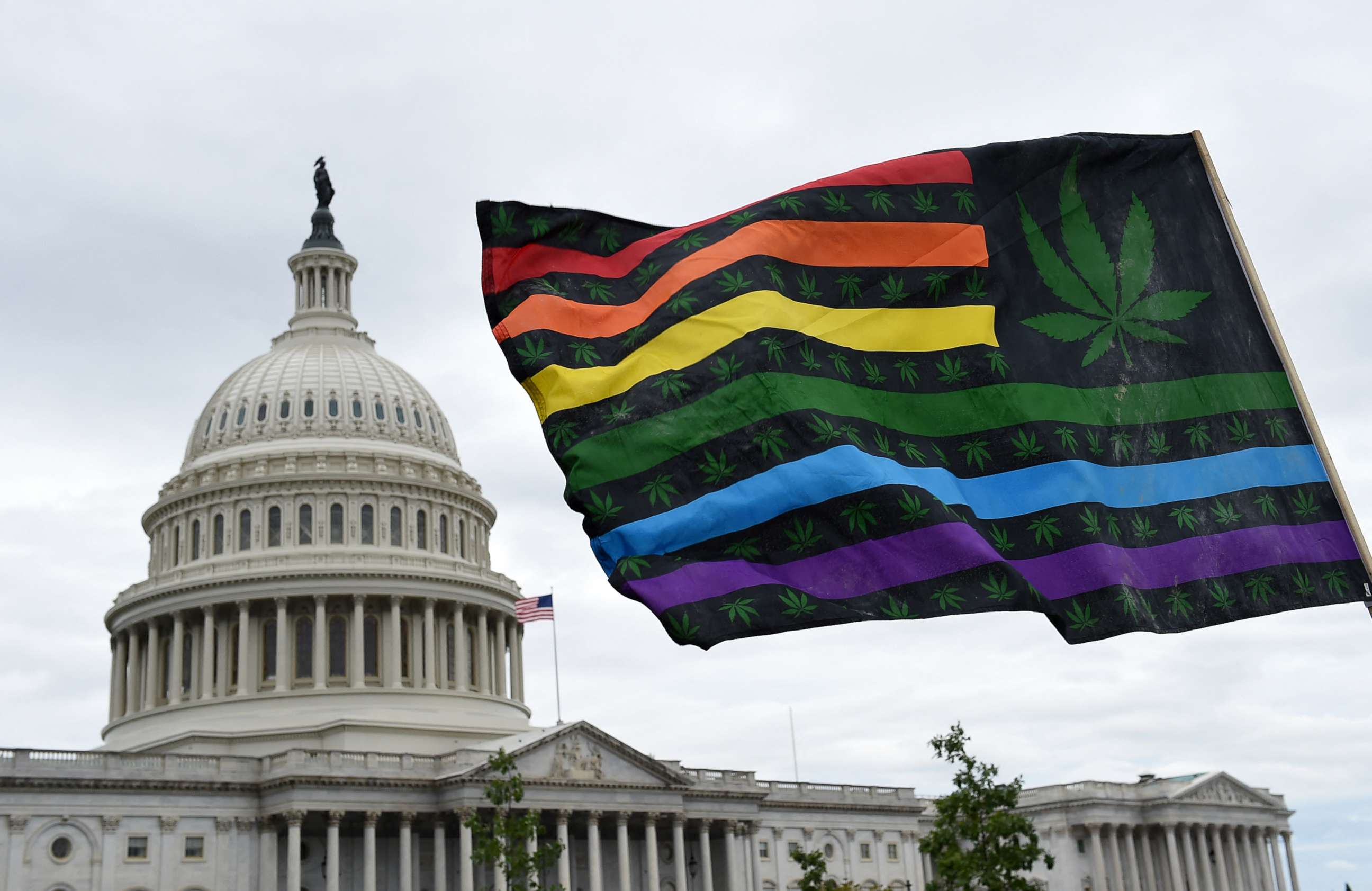 PHOTO: (FILES) In this file photo activists from the DC Marijuana Justice (DCJM) wave flags during a rally to demand Congress to pass cannabis reform legislation on the East Lawn of the US Capitol in Washington, D.C., on  Oct. 8, 2019. 