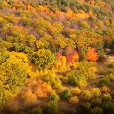 Aerial footage captured by a drone photographer in Massachusetts offers a glimpse of New England's famous fall foliage.