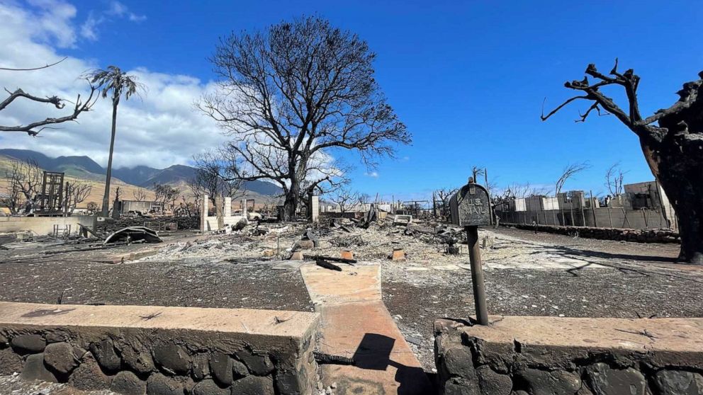 Remembering Lahaina: Family Loses Ancestral Home In The Maui Wildfires ...