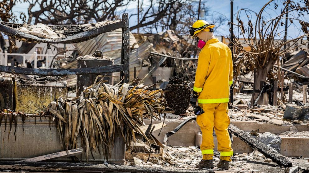 PHOTO: A Combined Joint Task Force 50 search, rescue and recovery member conducts search operations of areas damaged by Maui wildfires in Lahaina, Hawaii, U.S. August 15, 2023.