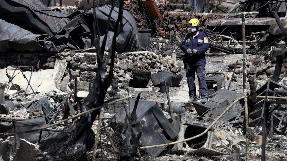 PHOTO: Search and rescue crews look through the remains of a neighborhood, Aug. 17, 2023 in Lahaina, Hawaii.