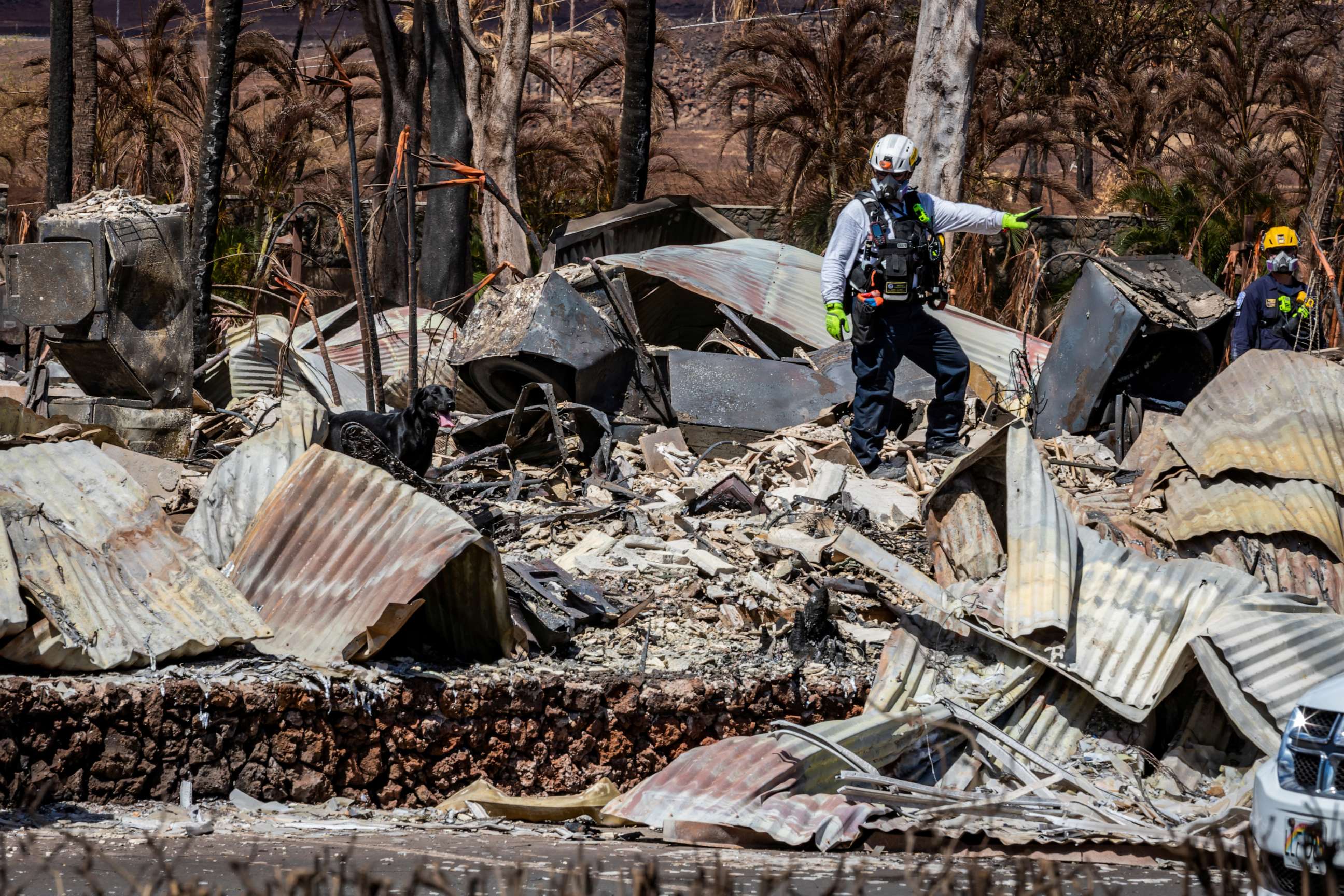 PHOTO: Combined Joint Task Force 50 search, rescue and recovery personnel conduct search operations of areas damaged by Maui wildfires in Lahaina, Hawaii, Aug. 15, 2023.