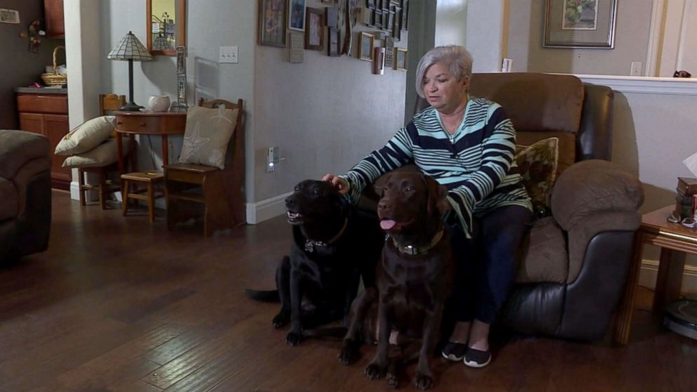 VIDEO: Two dogs praised for running to get help for owner suffering stroke