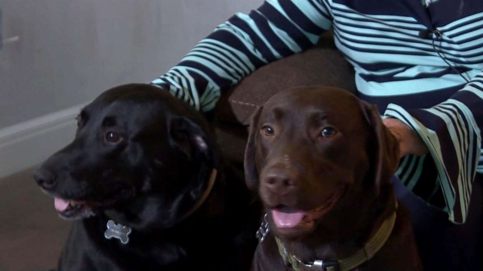 PHOTO: Maureen Hatcher's two dogs were shown on her home's doorbell camera running for help on Dec. 3 after she suffered a stroke in St.Augustine, Florida.