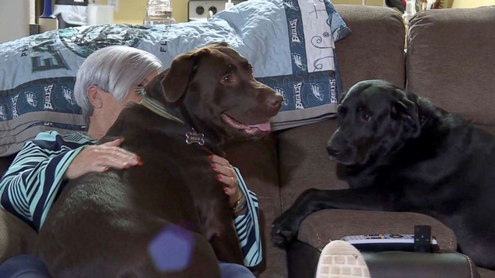 PHOTO: Maureen Hatcher's two dogs were shown on her home's doorbell camera running for help on Dec. 3 after she suffered a stroke in St.Augustine, Florida.
